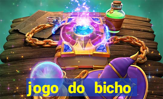 jogo do bicho crash bingo